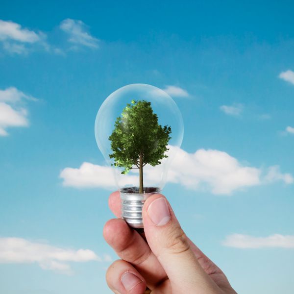 The Advantages of EC Fans for Improving Business Energy Efficiency