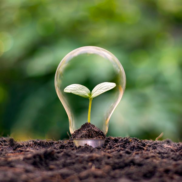 The Green Energy Transition: Anticipating a Coal-Free World by 2050